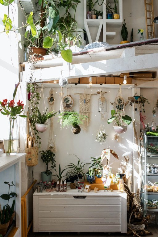 interior plants for home